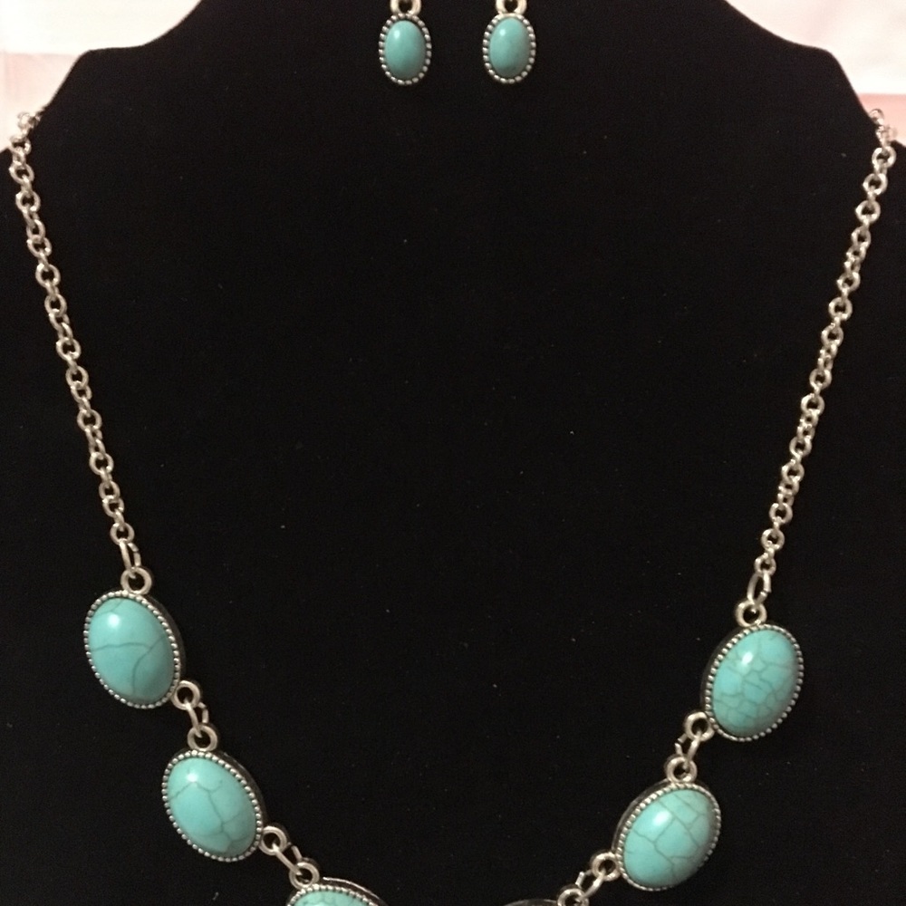Brand new never used earrings and necklace